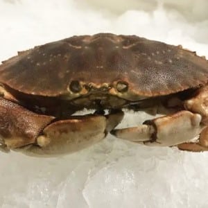 Crab Fishing