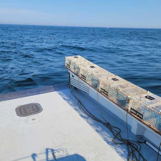 maine shark fishing charter